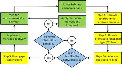 Steps to operationalize a rewilding decision: Focus on functional types